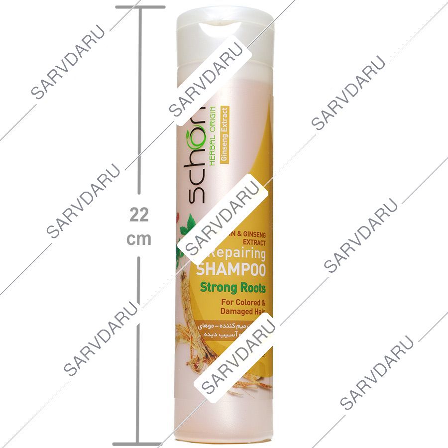 https:  shop