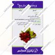 وینیسین