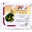 برونکوگل